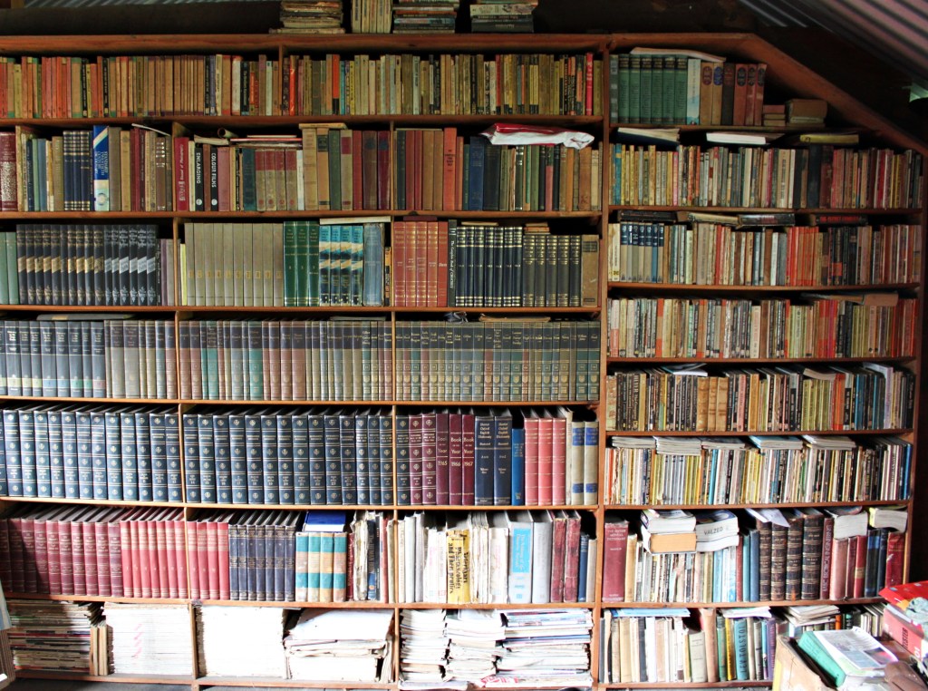 Book buses and bookshop&nbsp;robbers