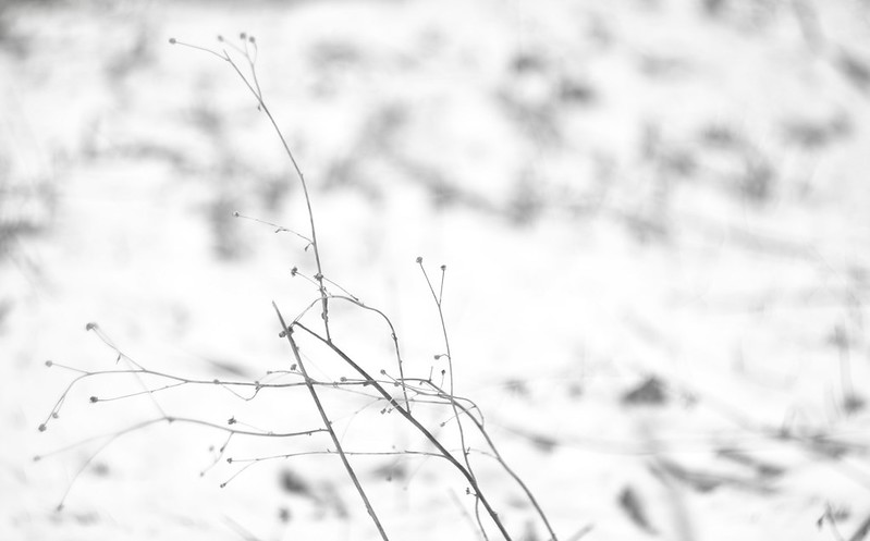 Getting started with mind&nbsp;mapping